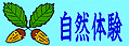 ���ꂱ�ꂻ��Ȃ�N���u