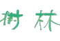 発送日が焙煎日 珈琲工房『樹林』